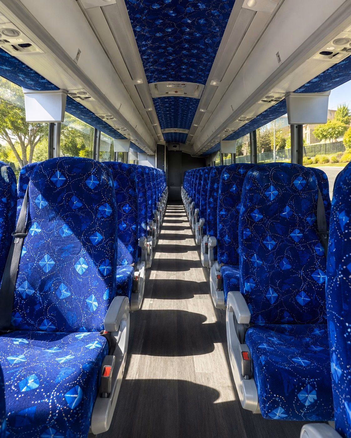 charter buses for goodyear school groups headed to the wildlife world zoo